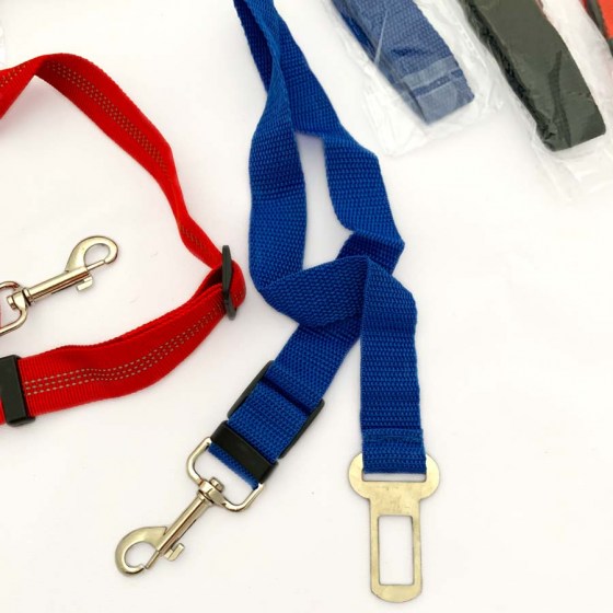 seatbelt-fixed-blue